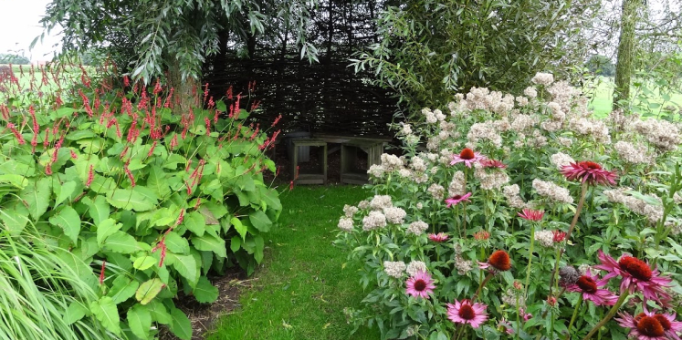 Foto: Tuincoach aan huis? Gratis struik in uw tuin!