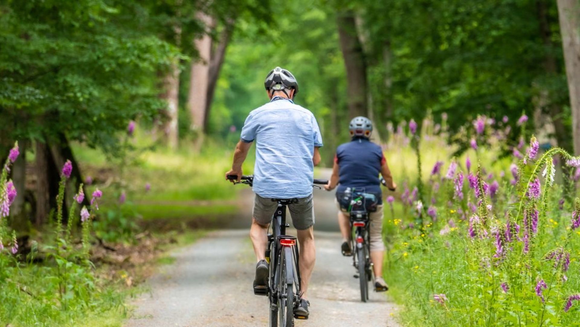 Grote verschillen tussen Veluwegemeenten in landelijke merkenranglijst