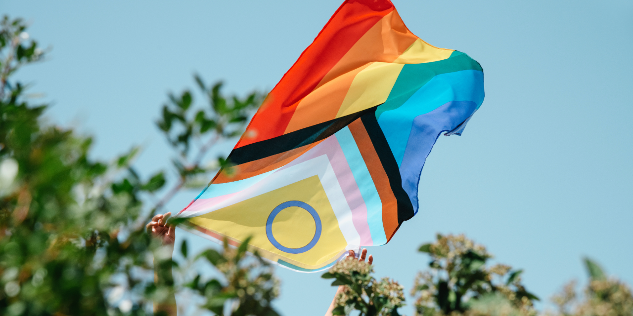 Foto: Maak kennis met True Colors Nunspeet
