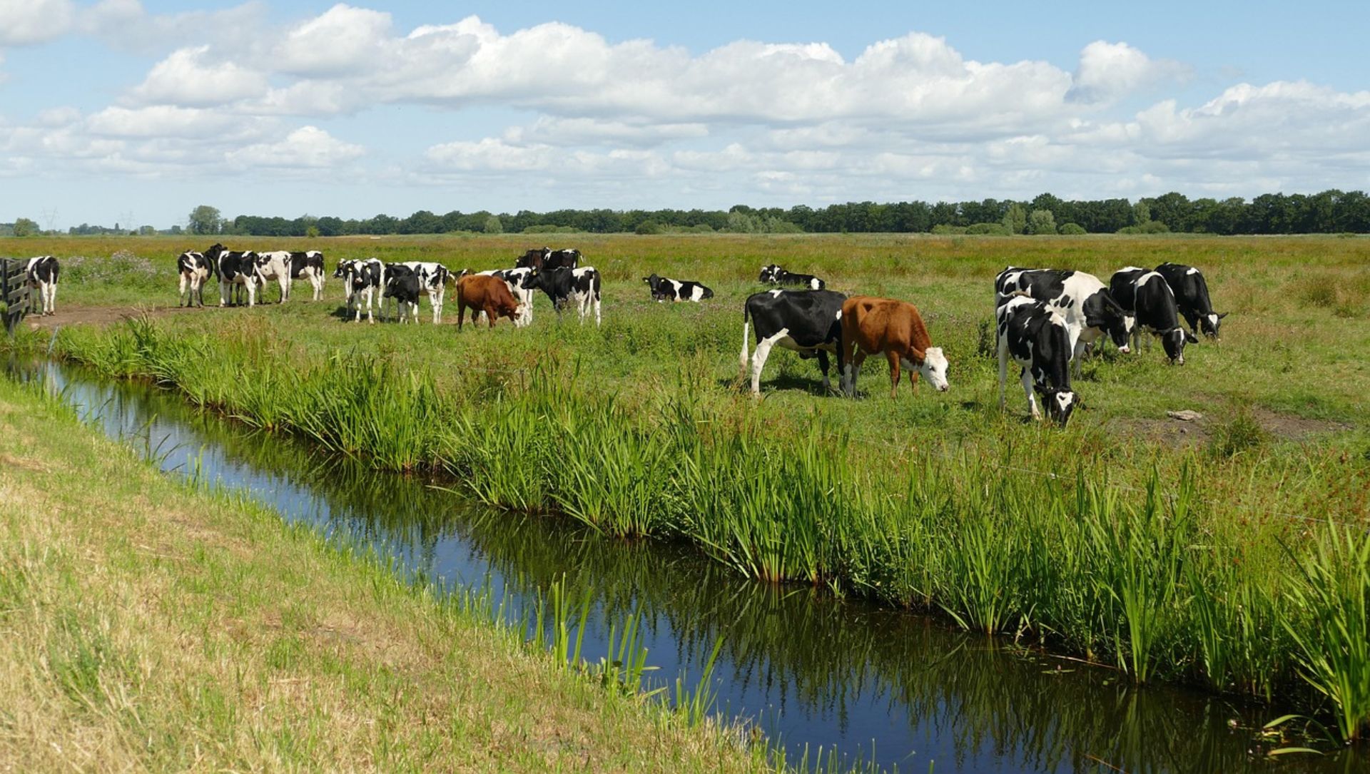 Foto: Sportvelden, boeren en bedrijven getroffen door verbod op slootwater