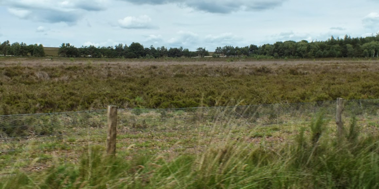 Foto: Wildobservatie op landgoed De Dellen