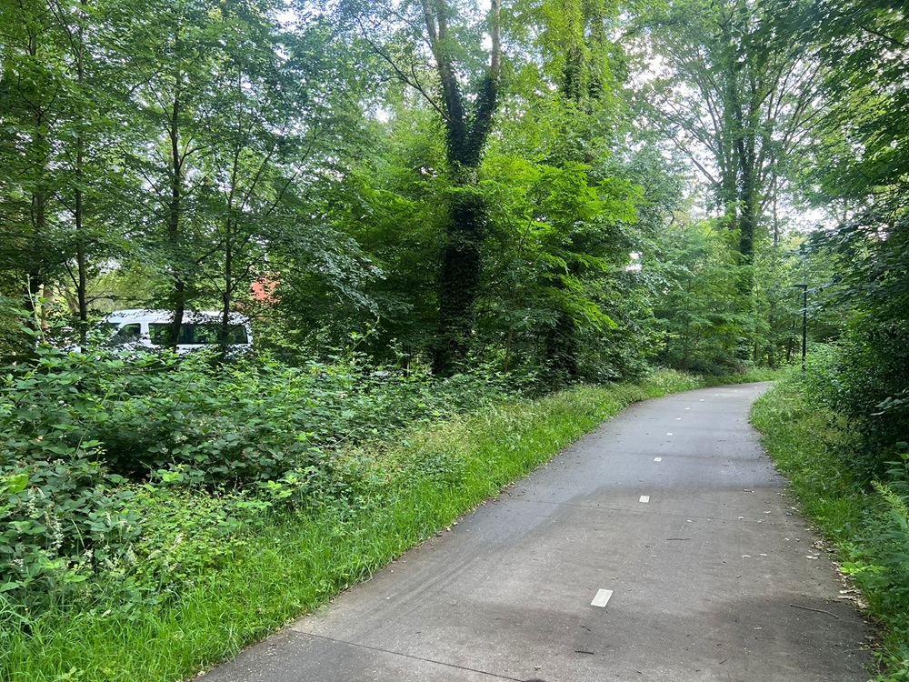 Foto: Met snoeiwerk, buurtapps en een zichtbare veldwachter wil Ermelo het veiligheidsgevoel versterken