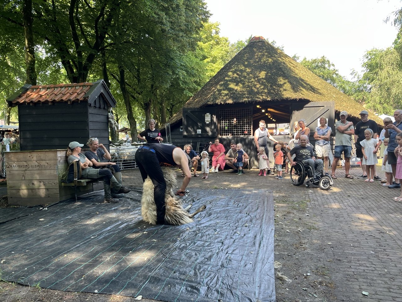 Foto: Schaapscheerdersfeest Elspeet: Traditie en jubileum