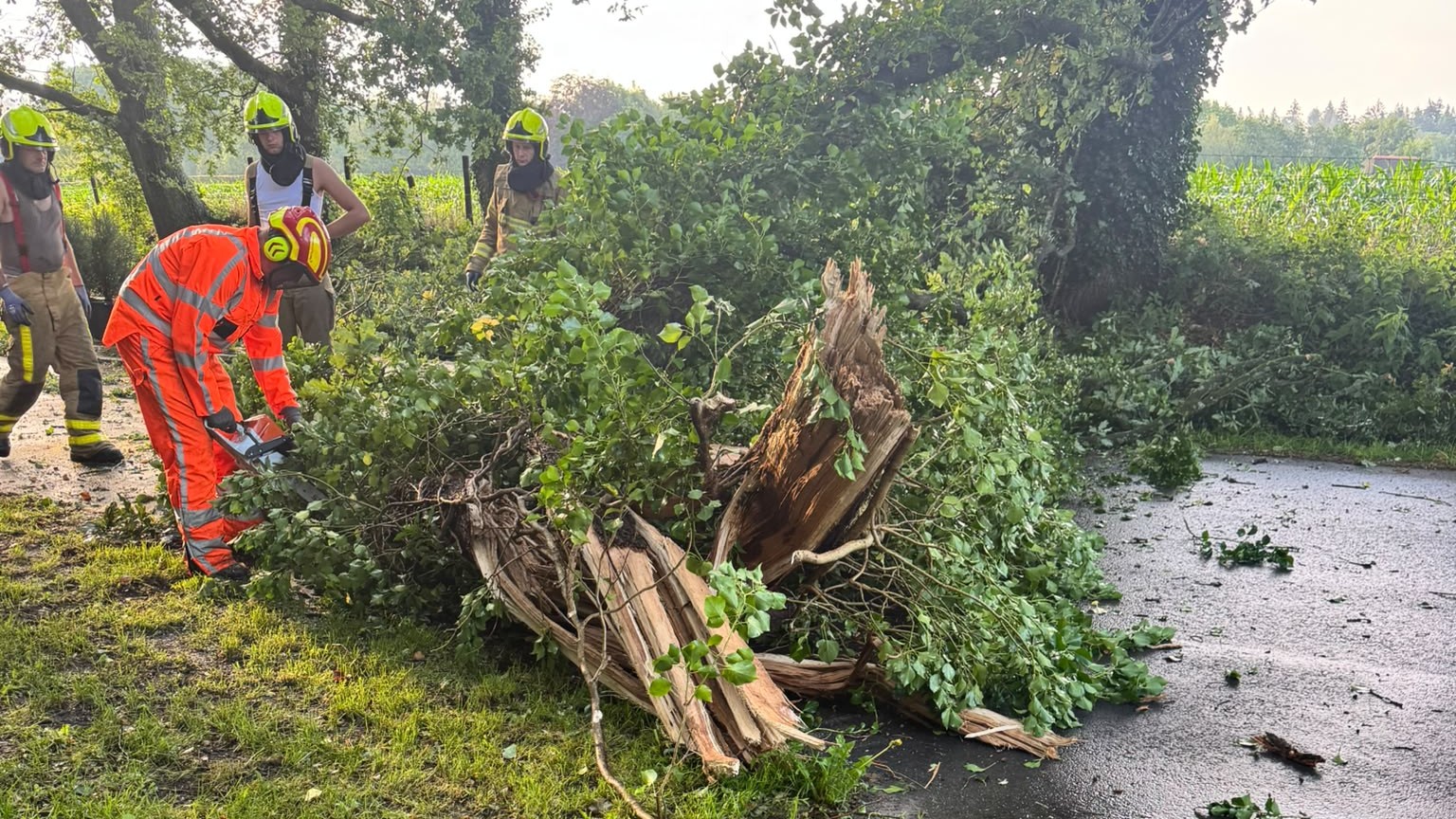 Foto: ZIEN - Noodweer richt flinke schade aan: brand in Uddel en omgevallen bomen