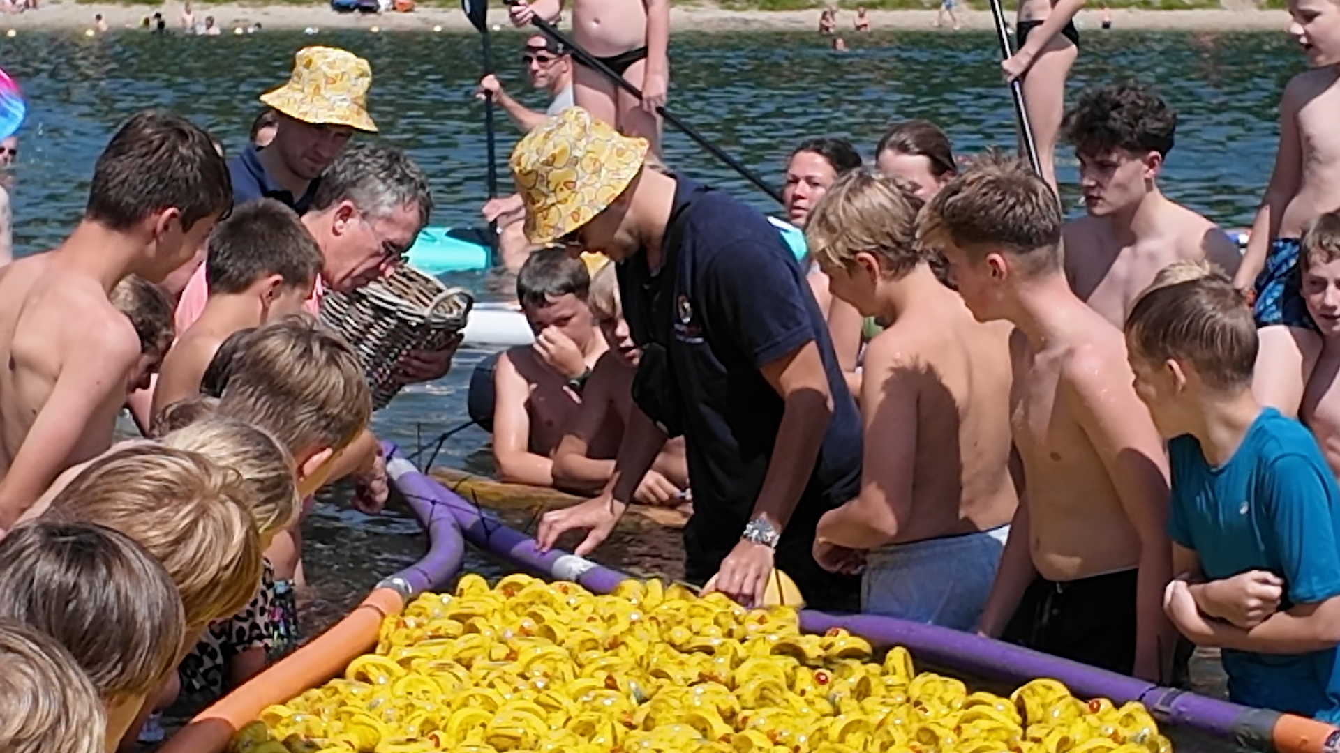 ZIEN - Het was geen fata morgana: 2375 badeendjes in de Zandenplas