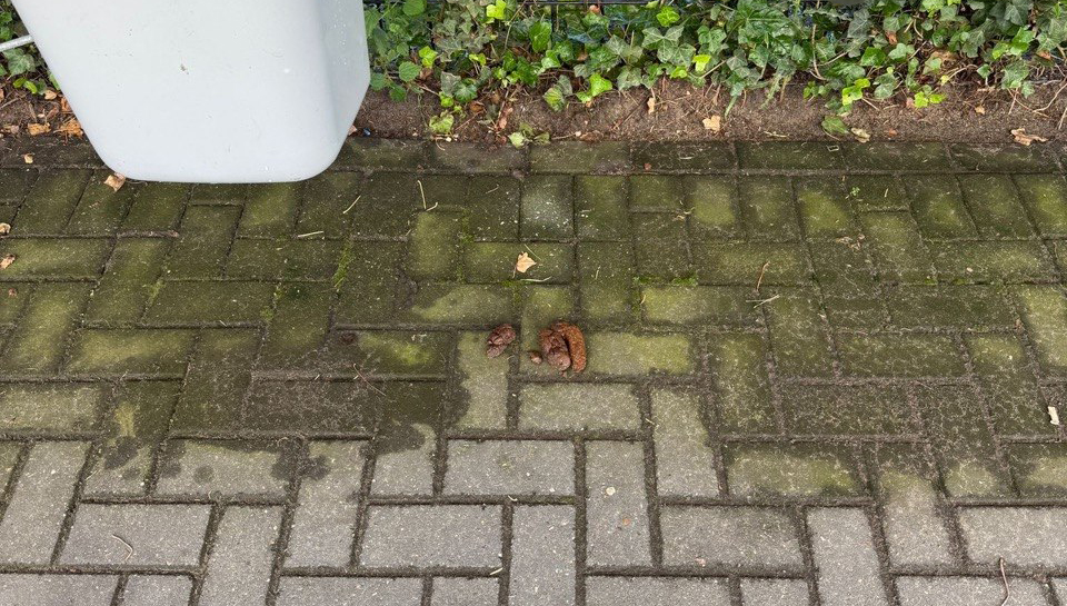 Foto: Man laat grote boodschap achter bij carwash in Epe: ‘Niet één maar meerdere hoopjes’