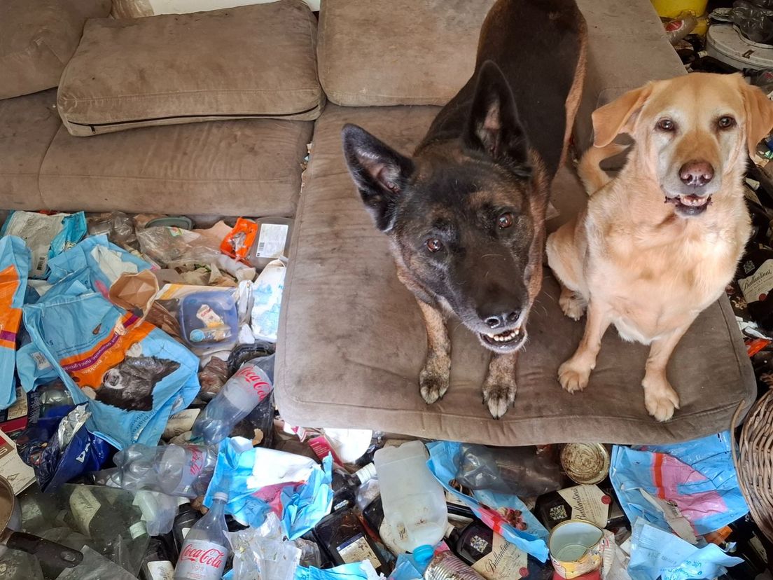 Vogels, katten en honden weggehaald uit woning vol afval in gemeente Elburg