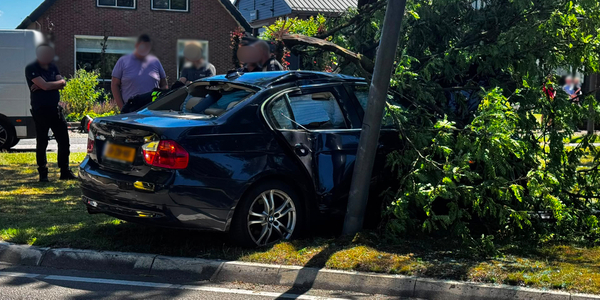 Foto: Automobilist botst tegen boom op Nunspeterweg in Elspeet