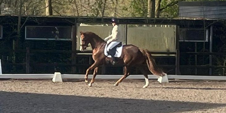 Foto: Mandy Koops en Raff Vegas K winnen tweede prijs