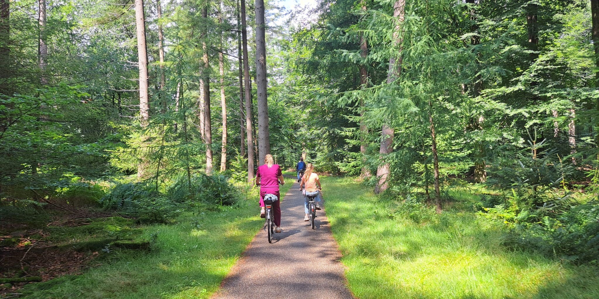 Foto: Veluwse fietsdagen: Stap op, de Veluwe wacht!