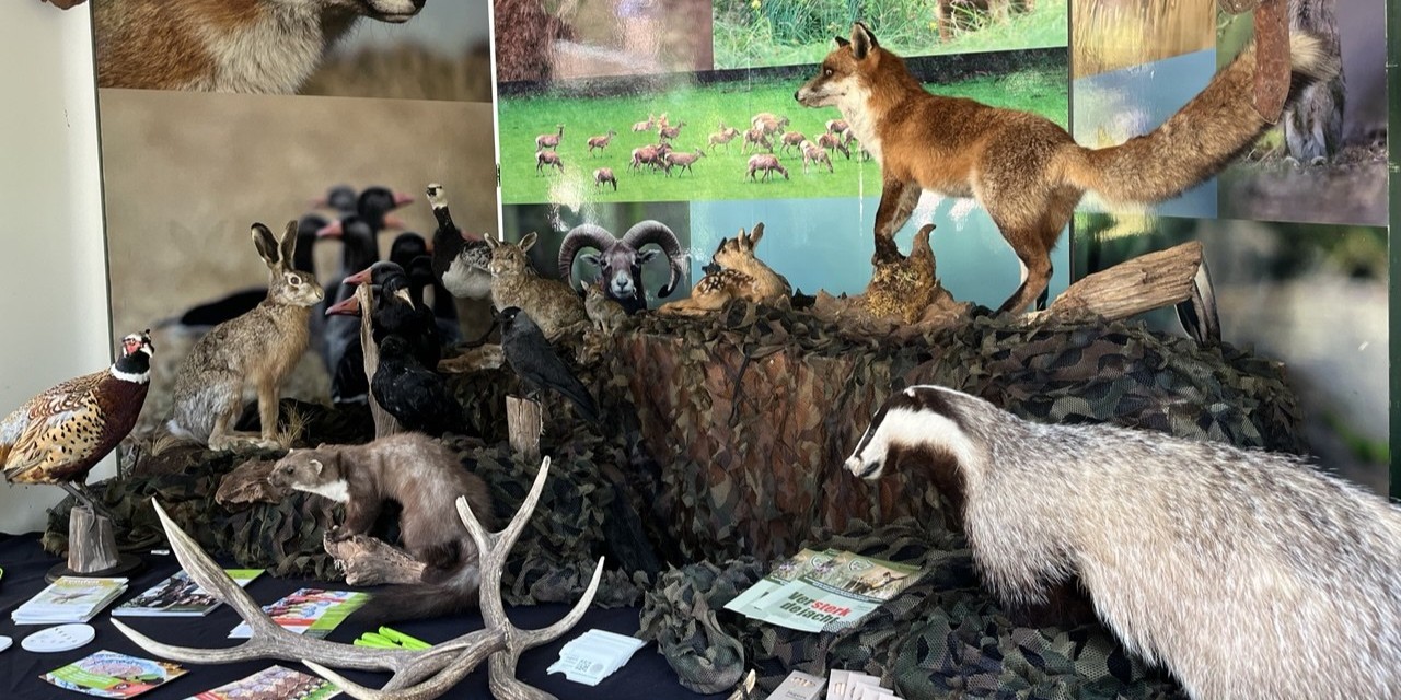 Foto: ‘Een genot om naar te kijken’: Outdoor Hunting Day voor jagers en hun trouwe viervoeters
