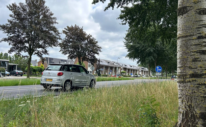 Foto: N309 bij Elburg opnieuw op de schop: plannen van 4,5 miljoen euro