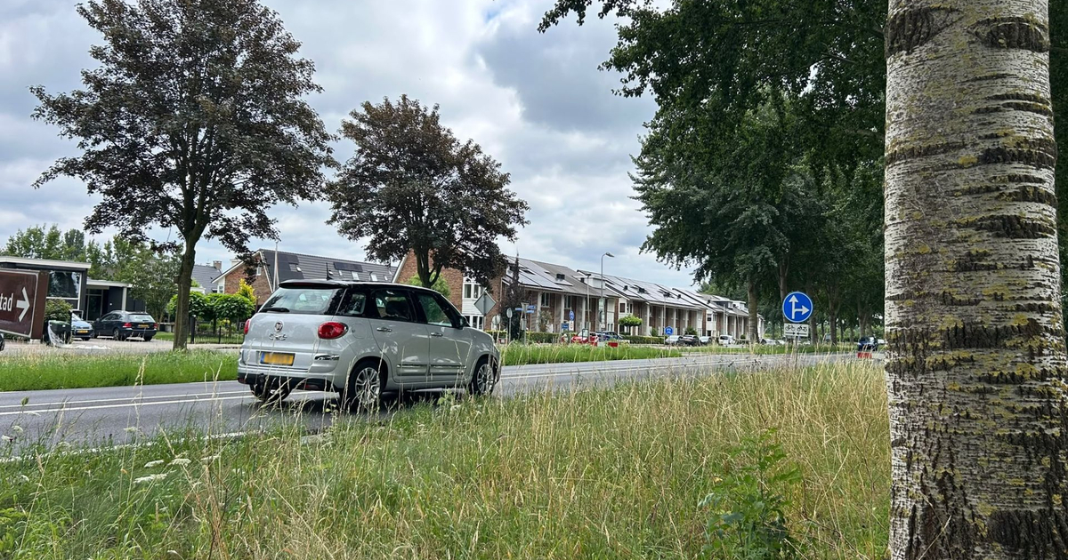 N309 bij Elburg opnieuw op de schop: plannen van 4,5 miljoen euro