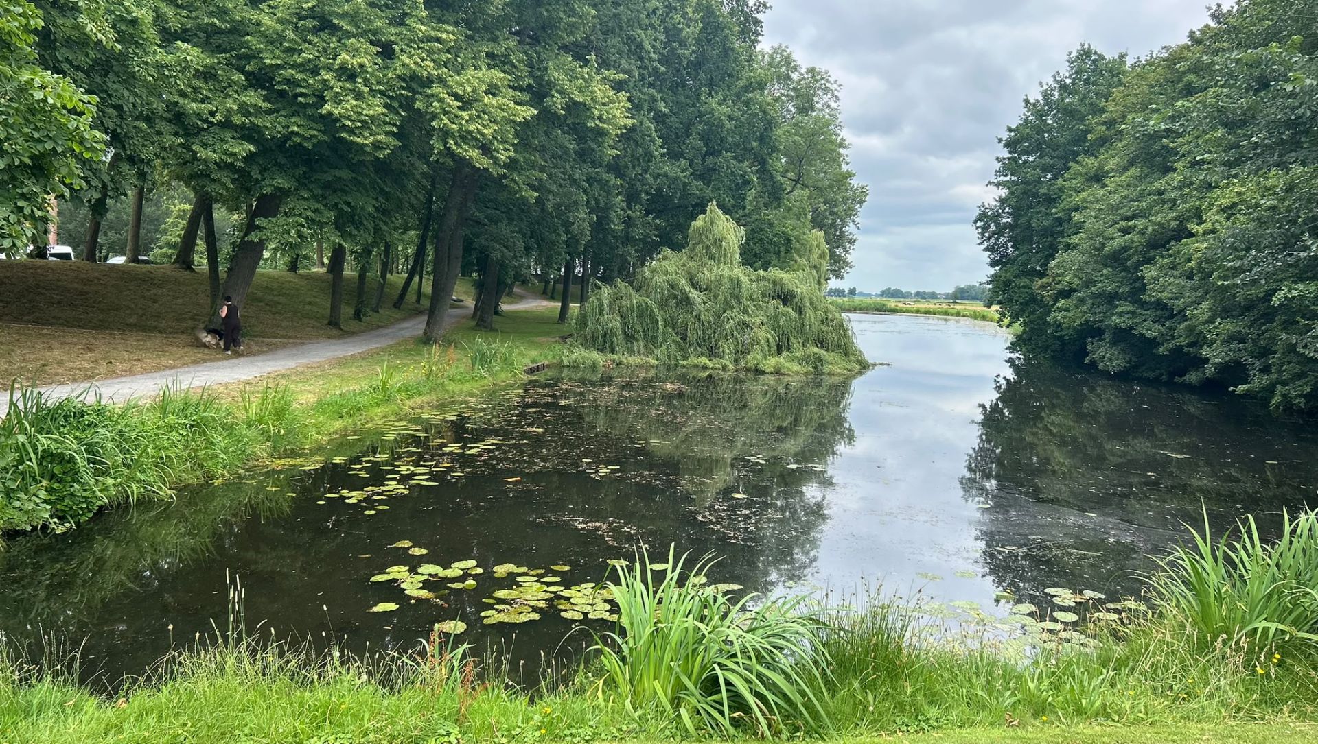 Foto: 'Bekendste boom van Elburg' waarschijnlijk weg: kan hij nog worden gered?