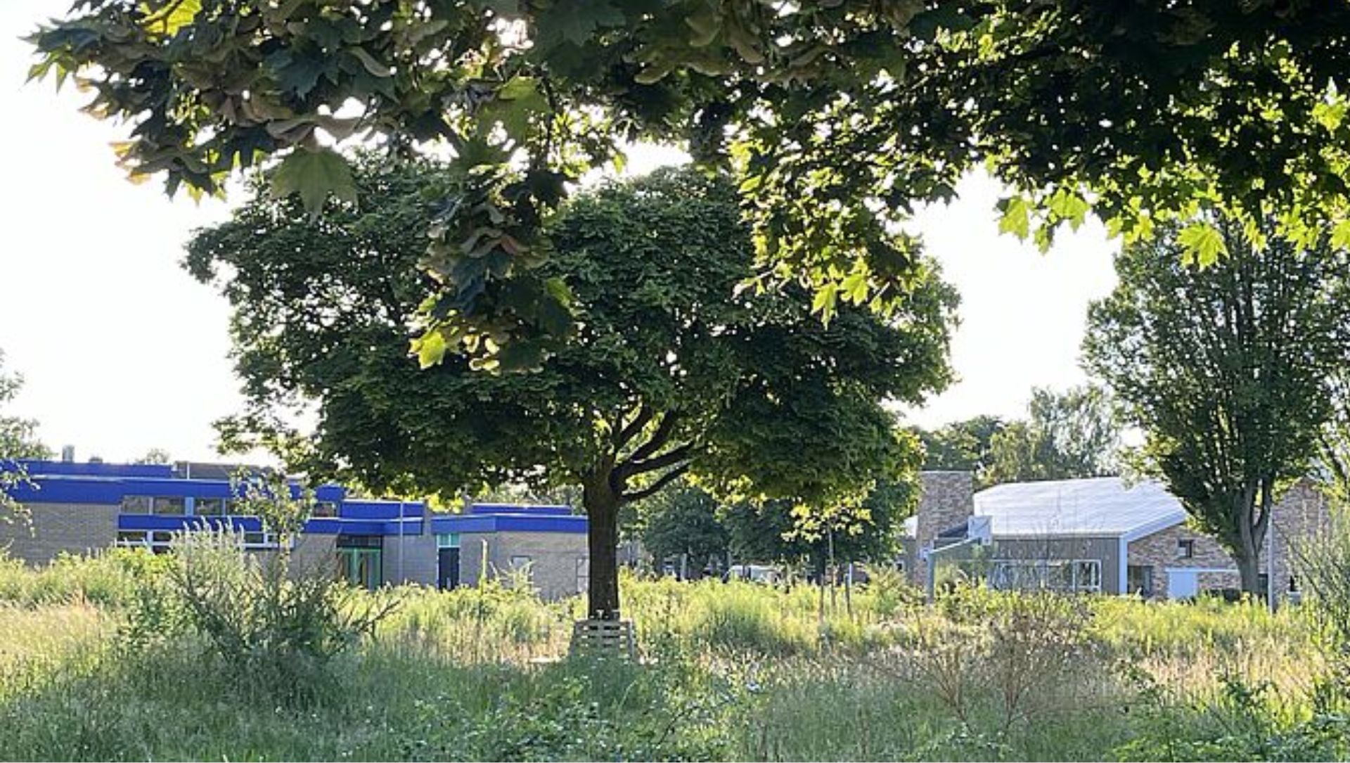 Foto: Stikstof vertraagt uitbreiding Prins Willem Alexanderschool