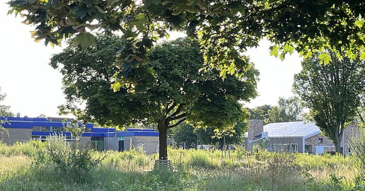 Stikstof vertraagt uitbreiding Prins Willem Alexanderschool