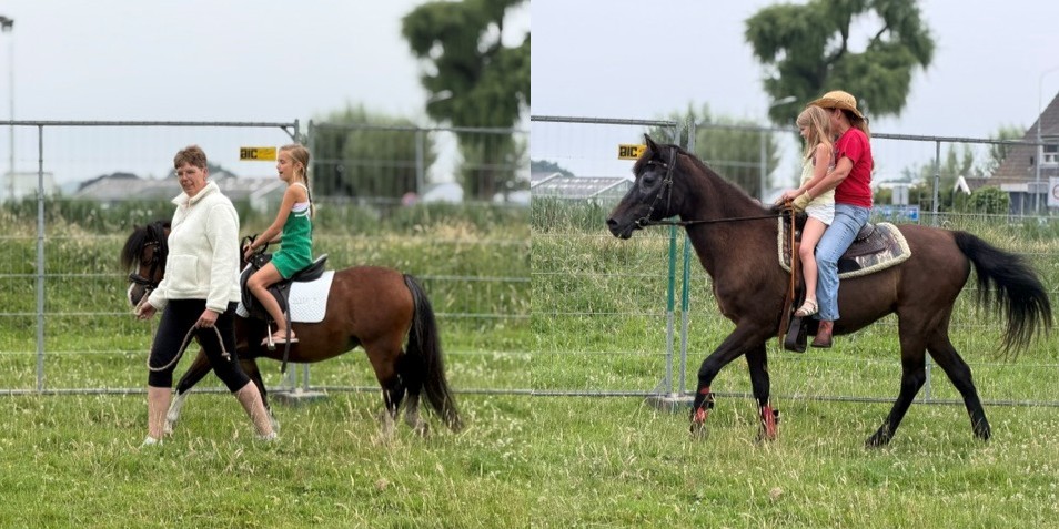 Foto: Doorspiekse Dagen: Een tweedaags (tent)feest