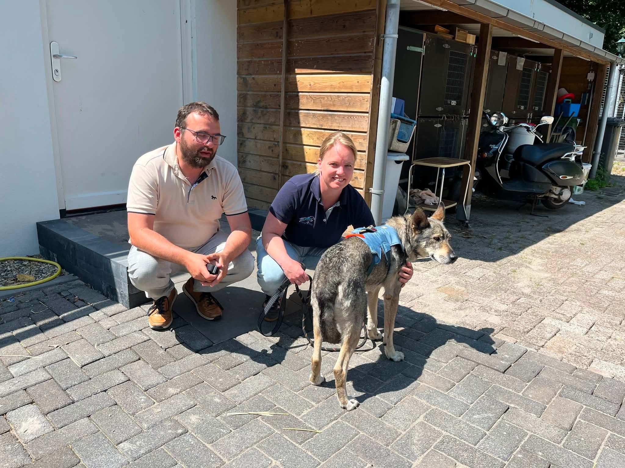 Foto: Vermiste hond Knap na dagenlange zoektocht weer veilig thuis