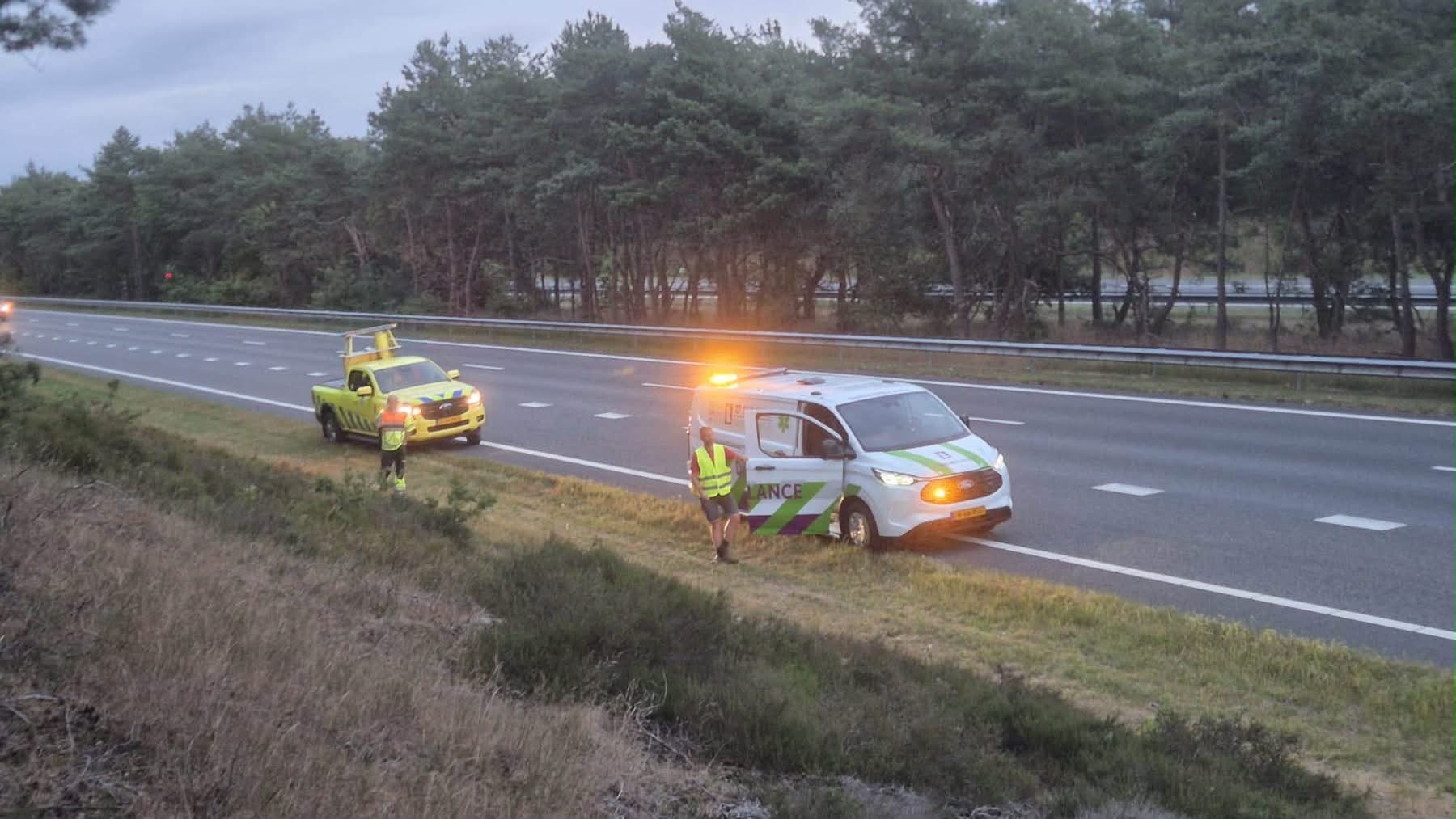 Foto: Vermiste hond Knap na dagenlange zoektocht weer veilig thuis