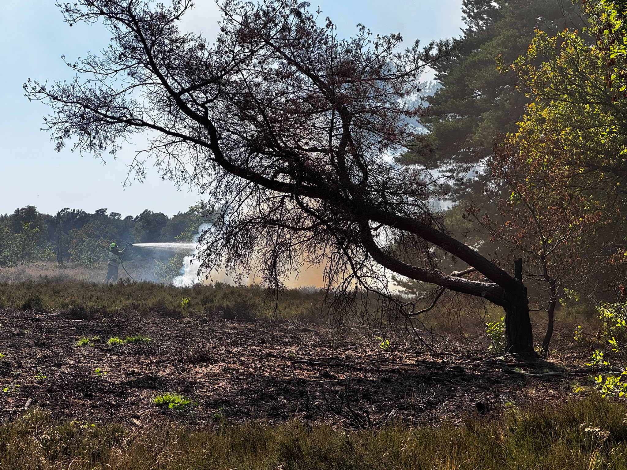 Kleine heidebrand bij ’t Frusselt in Vierhouten onder controle