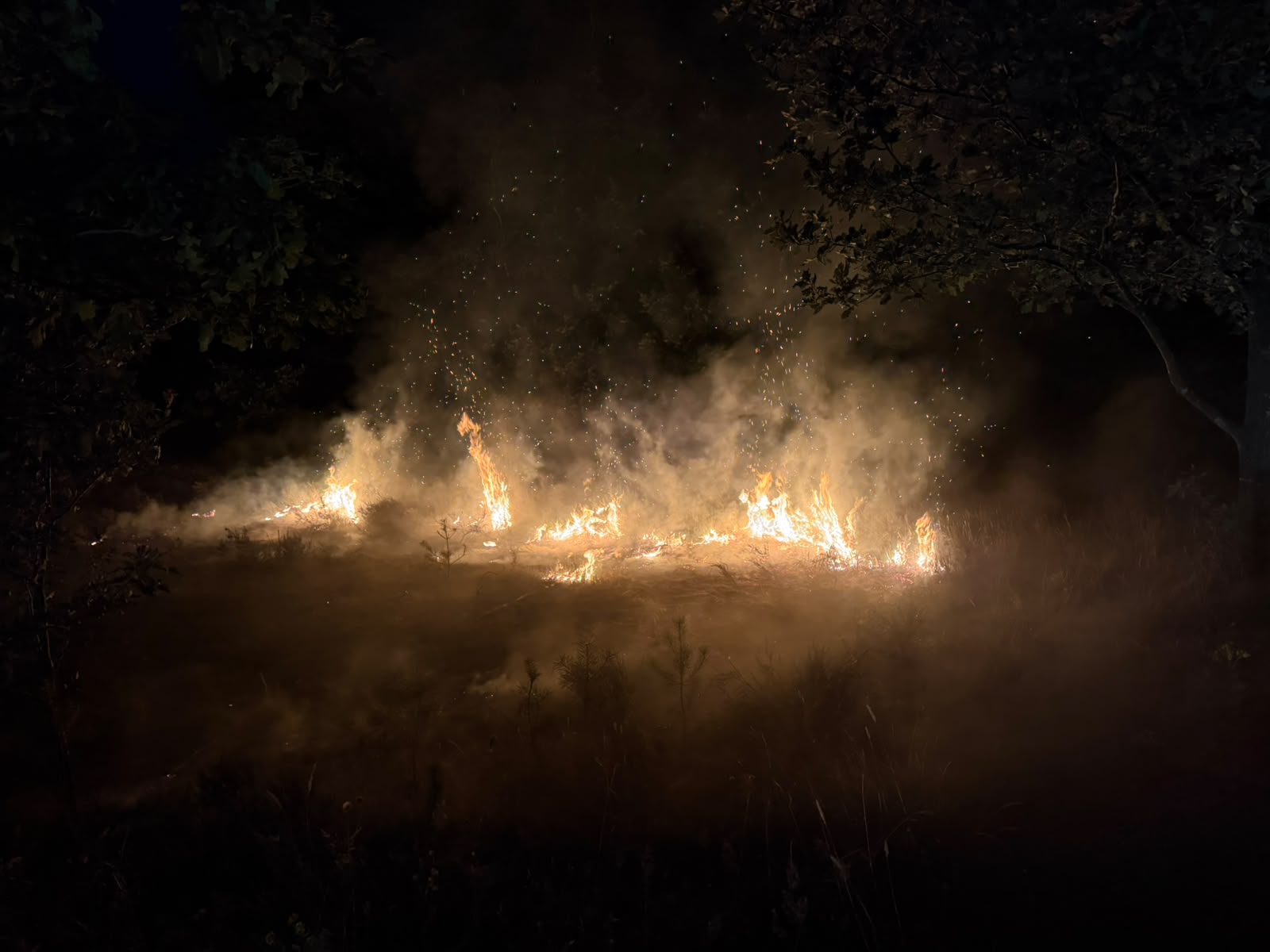 Foto: Twee heidebranden langs Stakenbergweg in Elspeet
