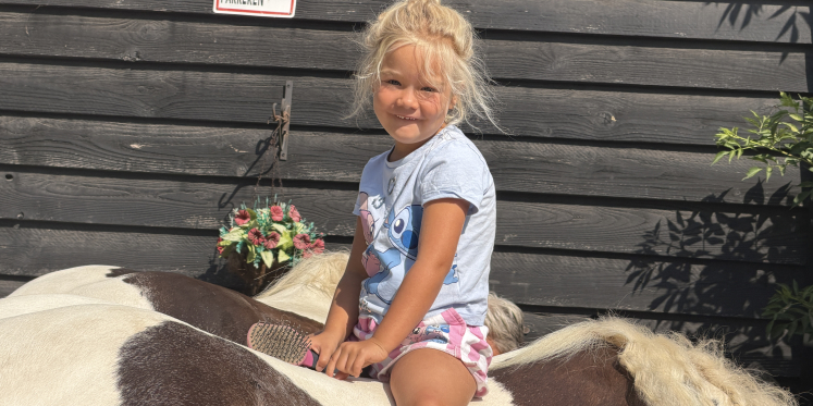 Foto: Column 'Geluk past gewoon op een paard'