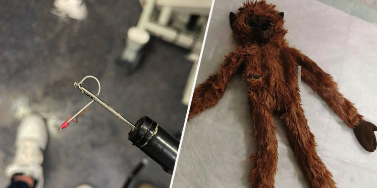 Foto: Hond uit Nunspeet eet zes onderbroeken op en dat valt niet helemaal lekker