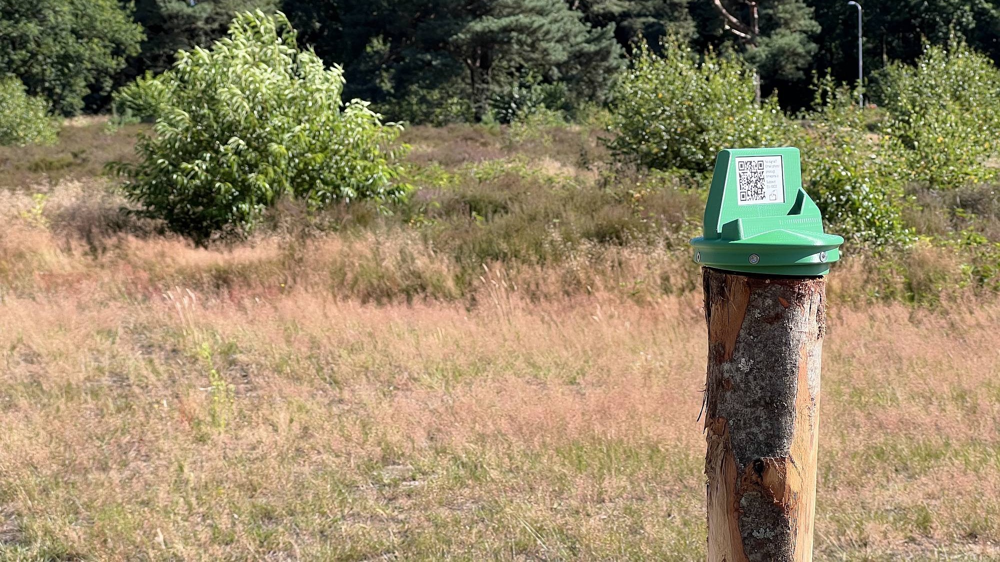 Foto: Zo kan iedere wandelaar meebouwen aan bijzonder natuurproject op de Krachtighuizerheide