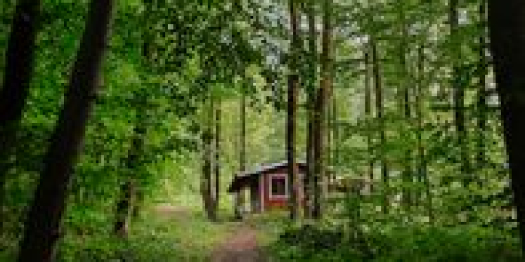 Foto: Column 'Een camping op de Veluwe'