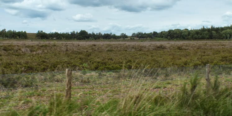 Foto: Speurtocht op landgoed De Dellen