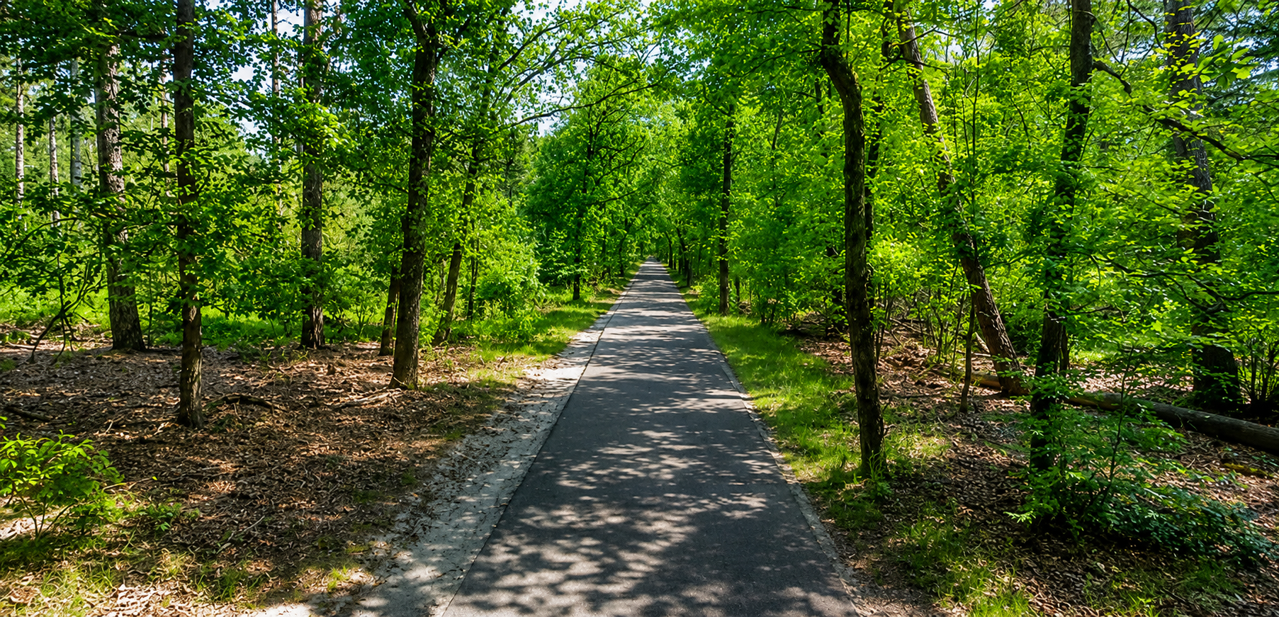 Foto: Staatsbosbeheer is deze dag aan het werk op de Noorderweg