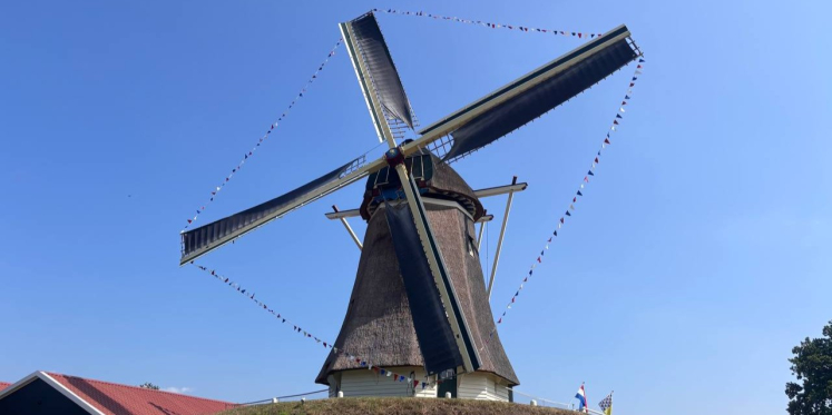 Foto: Toeristen én lokale inwoners (her)ontdekken Molen de Duif bij kofferbakverkoop