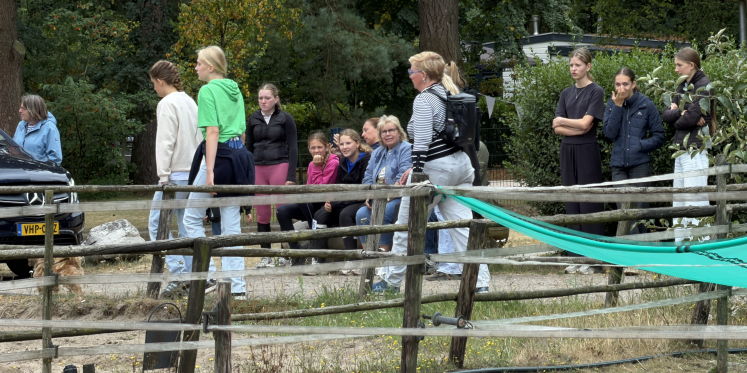 Foto: Column 'Manege Arckelhoeve uit Poeldijk'