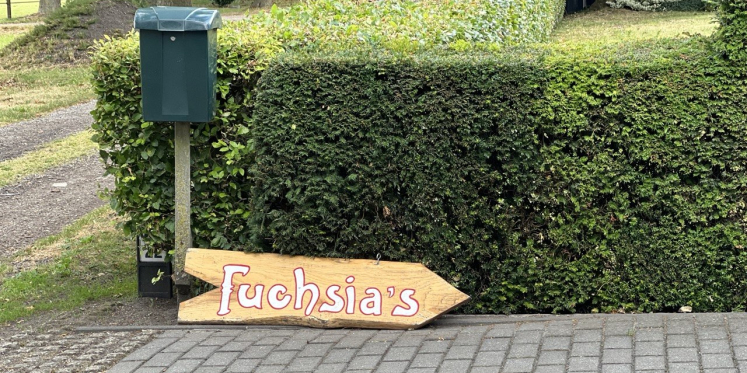 Foto: Wie bij Gert Jan (80) de tuin in loopt, belandt tussen meer dan duizend fuchsia’s