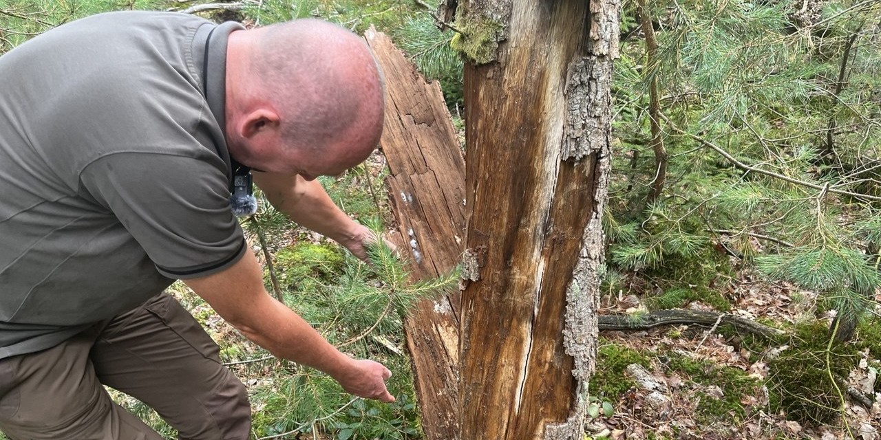 Foto: Duik in de natuur met boswachter Hans op Internationale Boswachterdag