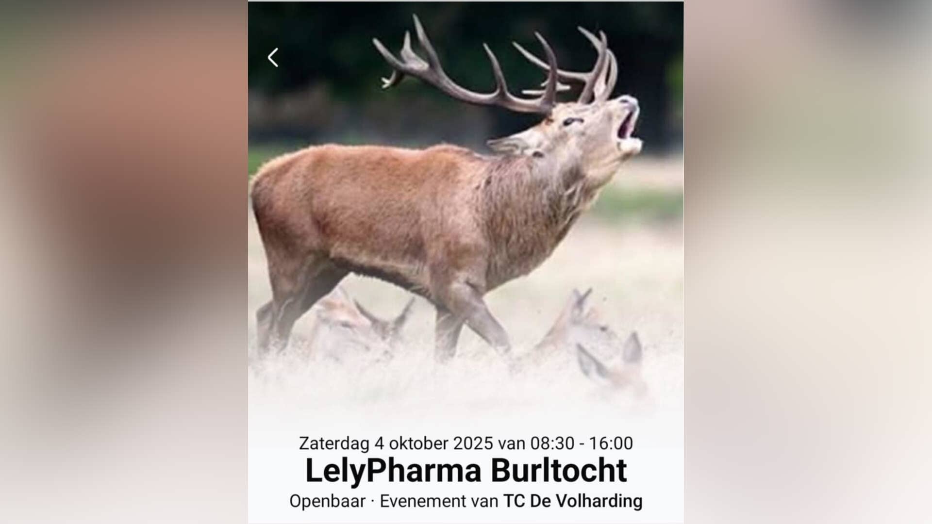 Foto: Burltocht