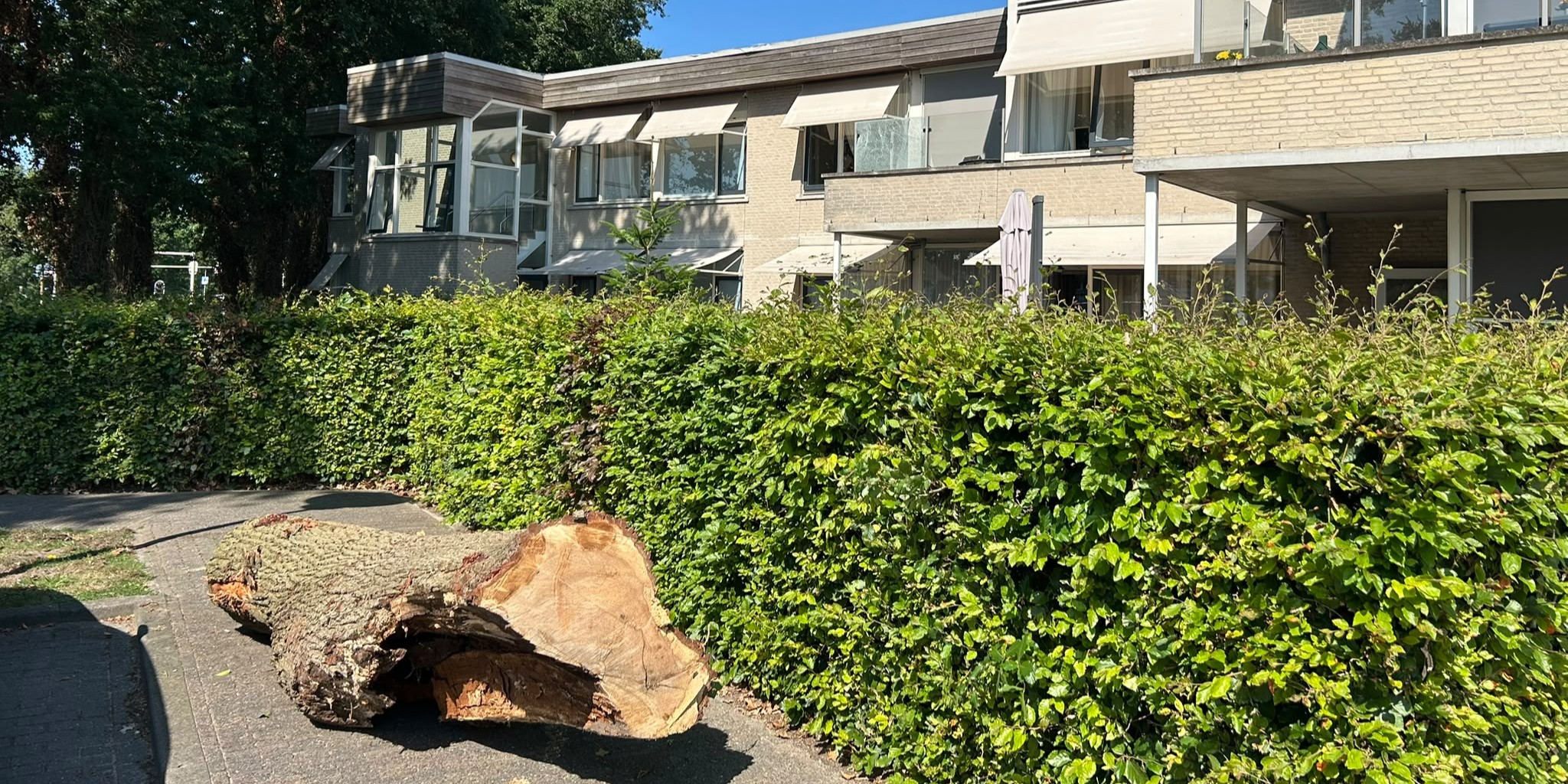 Grote boom valt op verzorgingshuis in Barneveld: 'Het was even schrikken'