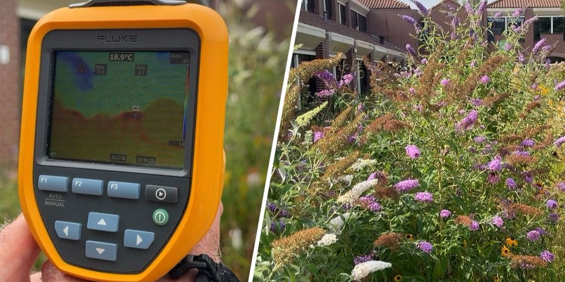 Foto: In deze binnenstad kunnen plekken tot wel 80 graden worden