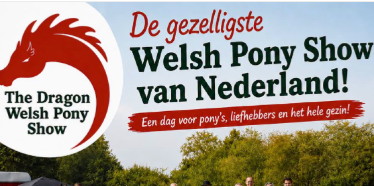 Foto: Dragon Welsh Pony Show op 8 augustus in Oldebroek