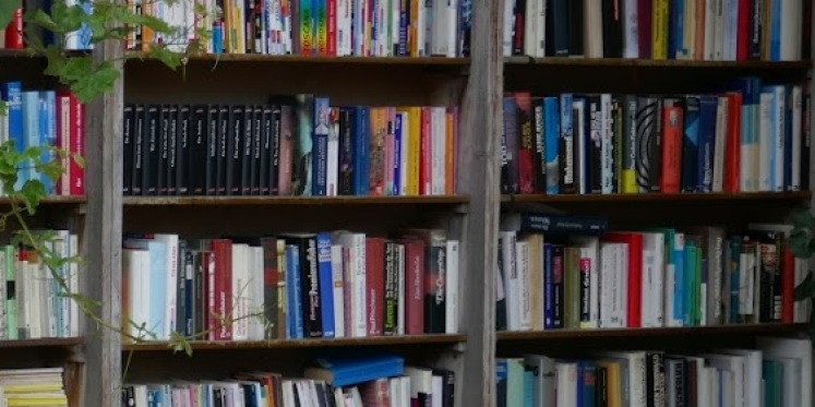 Foto: Taxateur beoordeelt oude boeken en ansichtkaarten in Bibliotheek Hattem