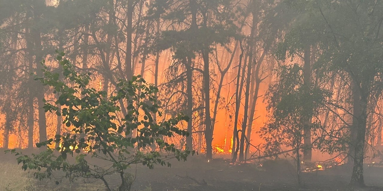 Foto: Zo hielpen Nunspeetse brandweerlieden bij het ‘natuurgeweld’ in Venray