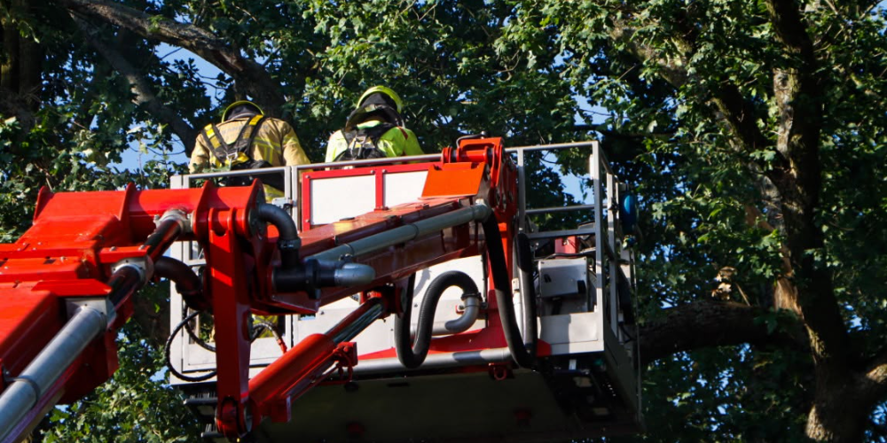 Brandweer rukt uit voor gevaarlijke tak