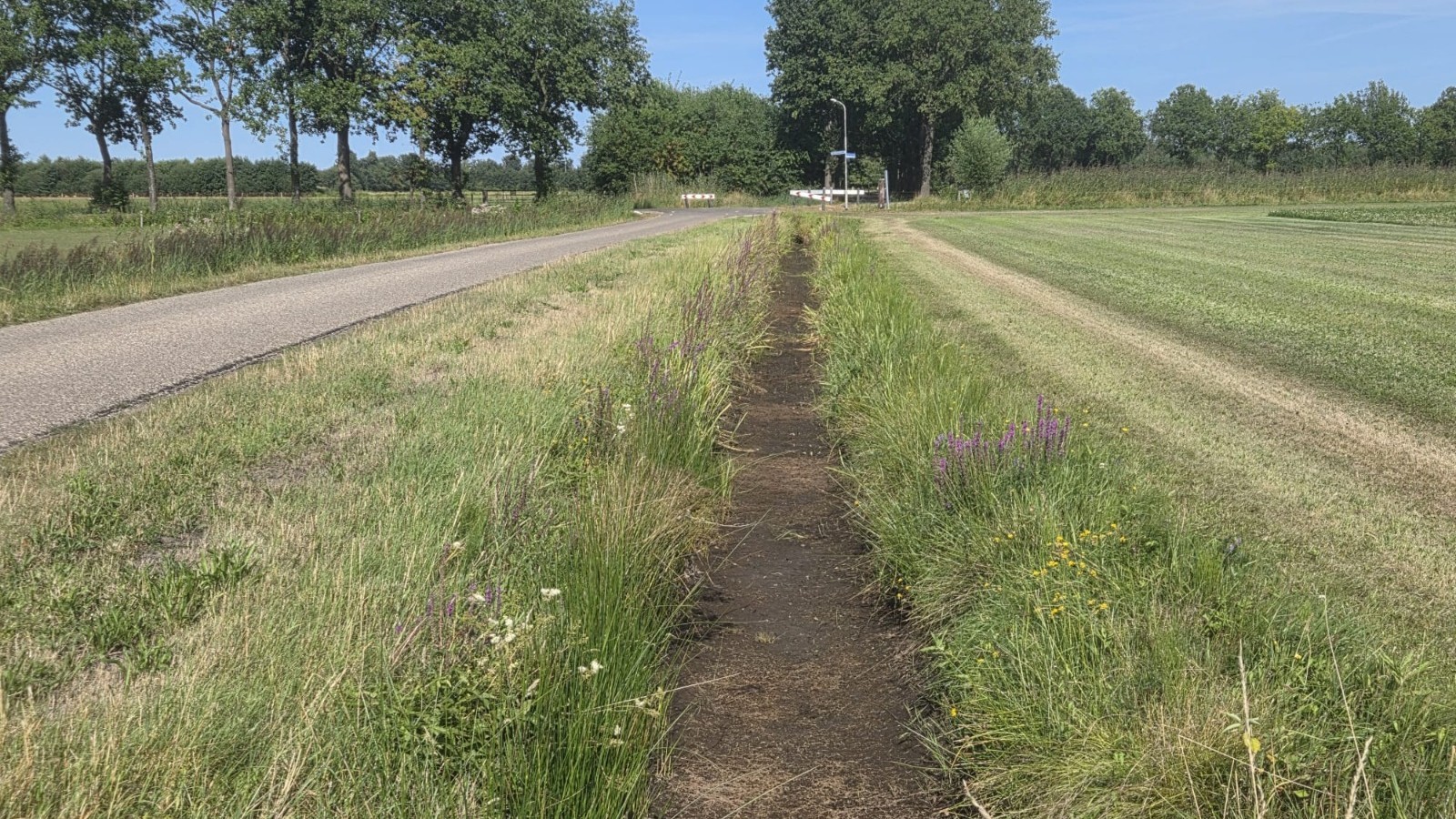 Foto: ‘Dit heb ik nog nooit meegemaakt’: sloot bij Dirk uit Doornspijk staat helemaal droog