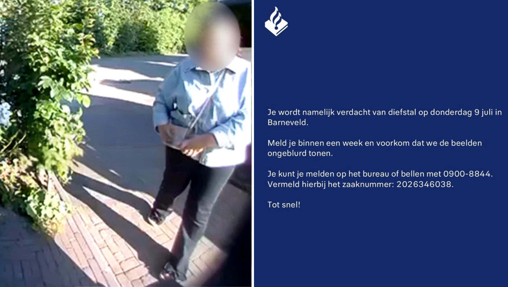 Foto: Eén pakketje verdwijnt, maar al snel blijken meer Barnevelders slachtoffer