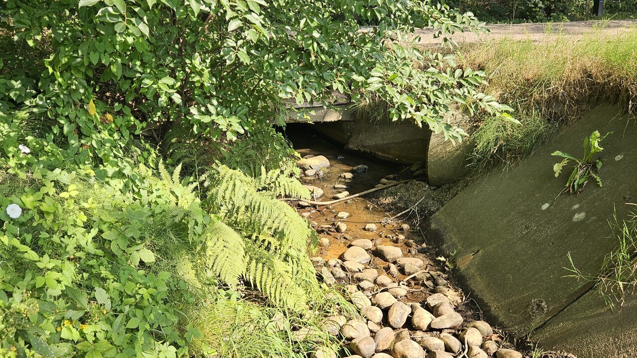 Foto: Nieuw verbod door droogte: geen grondwater oppompen bij kwetsbare beken