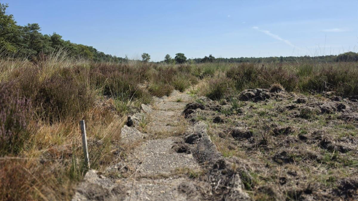 Foto: Eeuwenoude waterwerken Noorderheide krijgen opknapbeurt