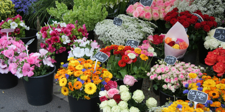 Foto: Aanmelden voor loting standplaatsen op de weekmarkt