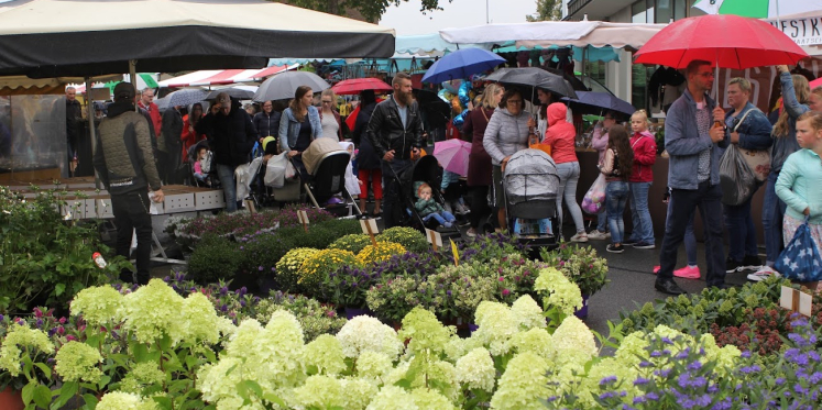 Foto: Schapenmarkt Oldebroek belooft weer gezellig te worden