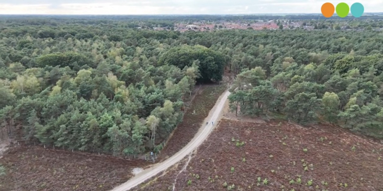 Foto: Oranje heide valt op vanuit de lucht