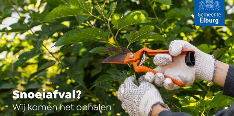 Foto: Snoeihout? Gemeente Elburg haalt het op!